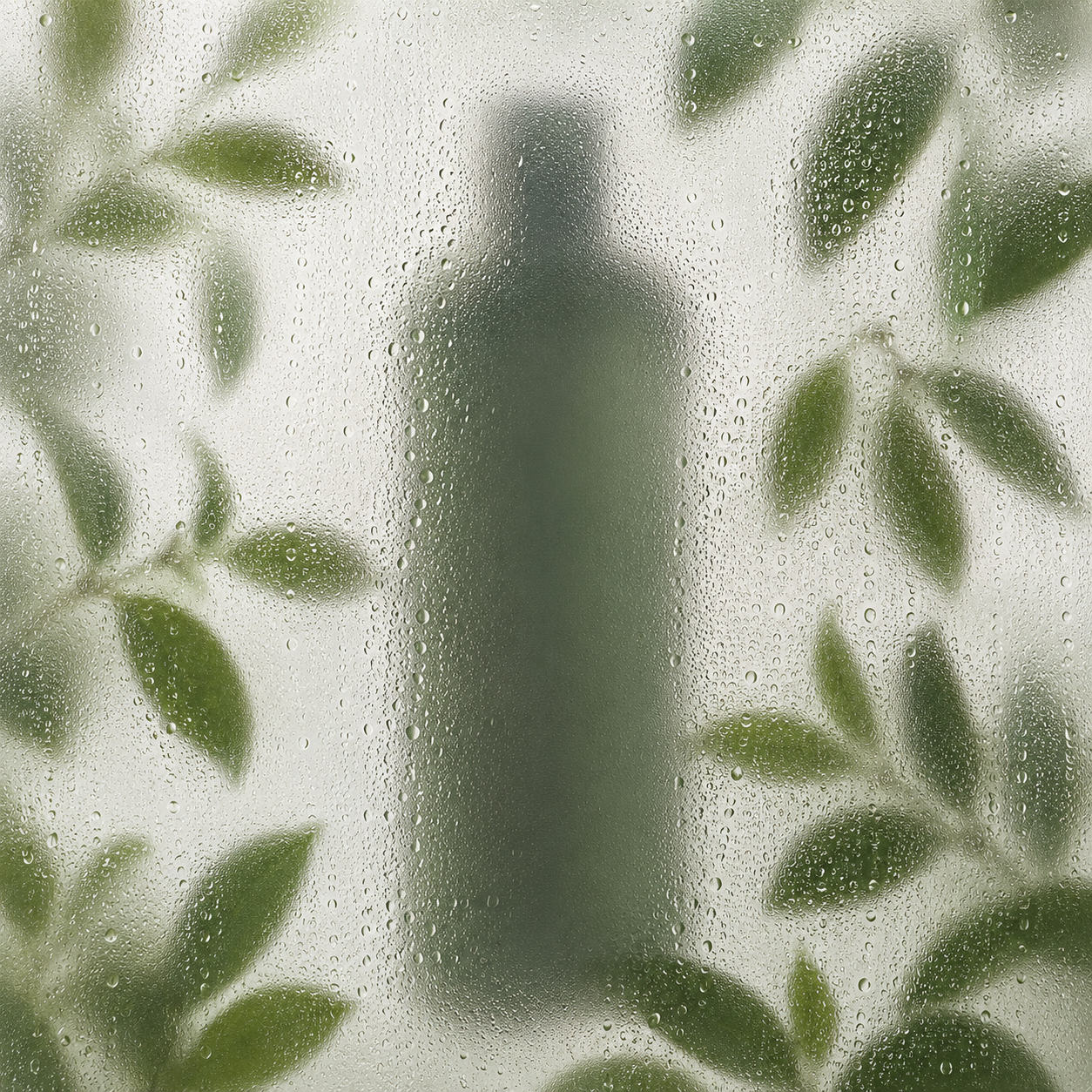 Premium Shampoo